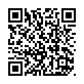 To view this 2017 Ford Transit Des Moines IA from John's Auto Sales, please scan this QR code with your smartphone or tablet to view the mobile version of this page.