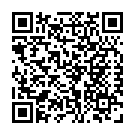 To view this 2021 Chevrolet Express Des Moines IA from John's Auto Sales, please scan this QR code with your smartphone or tablet to view the mobile version of this page.
