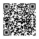 To view this 2015 Chevrolet City Express Des Moines IA from John's Auto Sales, please scan this QR code with your smartphone or tablet to view the mobile version of this page.